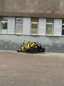 �����������