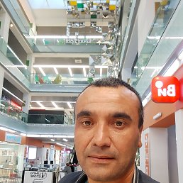 , 41,  