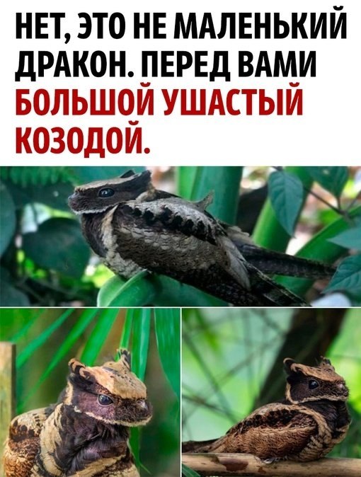 �����o� �� �o�o�� �a �pa�o����o�!