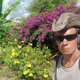 �����, �������, 38 ���