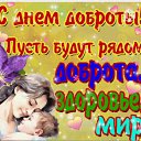 ���� �����, ���� - ��������� 17 ������� 2026 � ������ ������ ��������