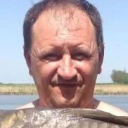 , 55 , 