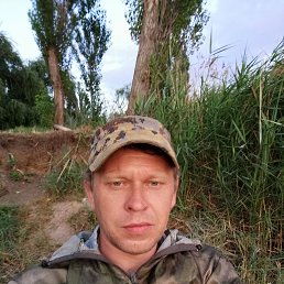 , 37, 