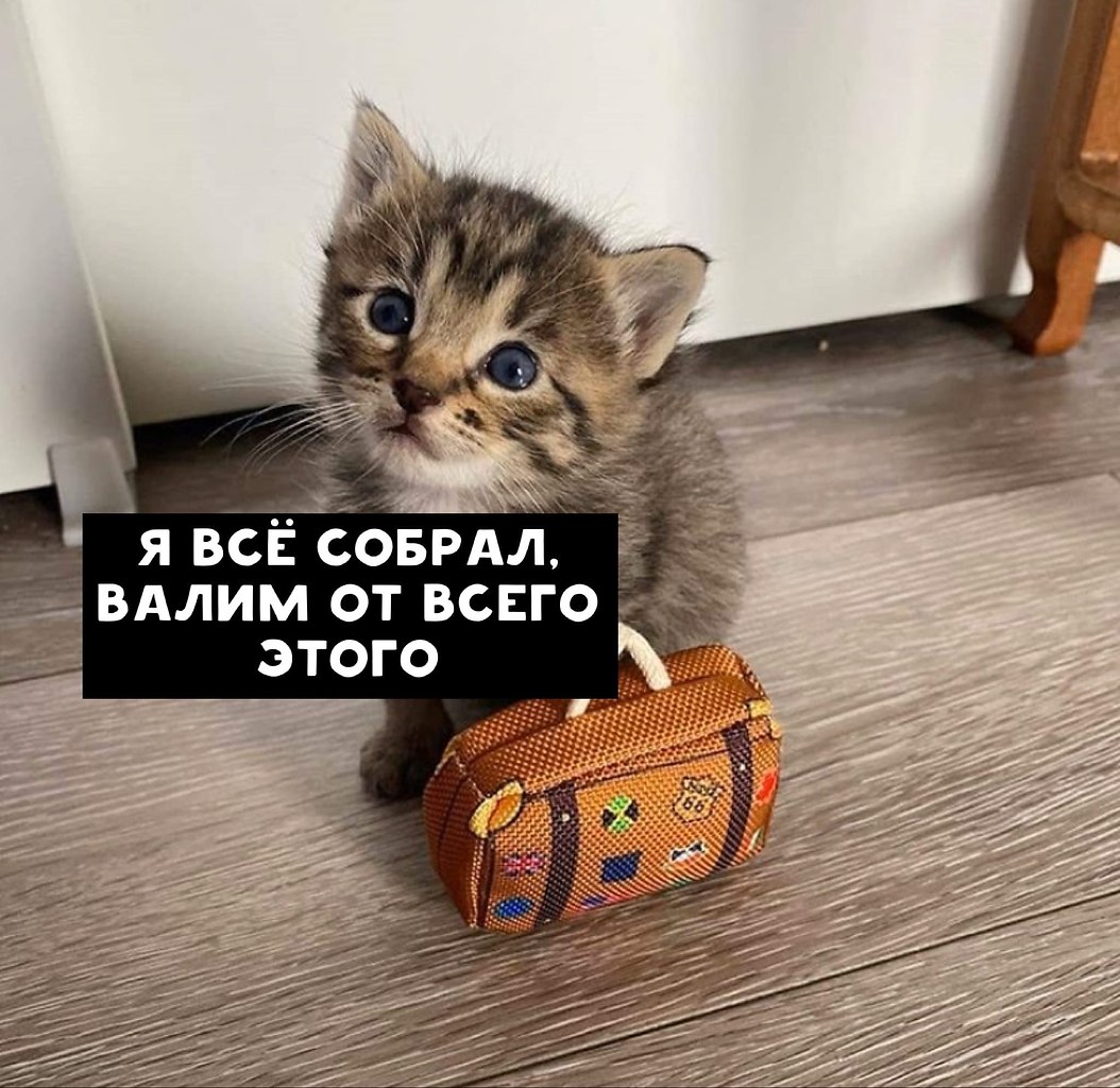     !  5      1 ,   ... ...