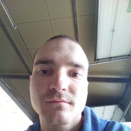 , 24, 