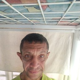 , 48, 