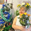 ���� Svetlay, ������� �������� - ��������� 8 ������ 2026 � ������ ���� ����������