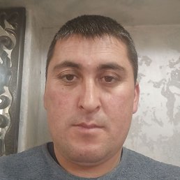 �����, ������, 38 ���