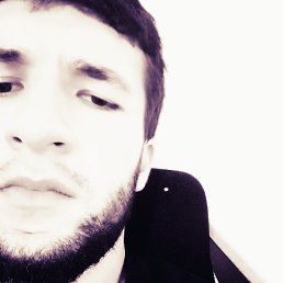 , 26, 