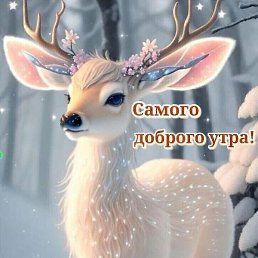 ��������, ������, 37 ���