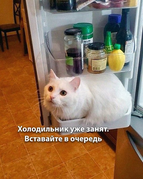    - 16  2024  12:31