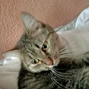 ���� �����, ������ - ��������� 8 ������� 2025 � ������ ���� ����������