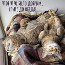 ���� ������, ���������, 37 ��� - ��������� 15 ������� 2023 � ������ ���� ����������