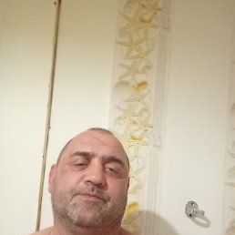 , 44, 