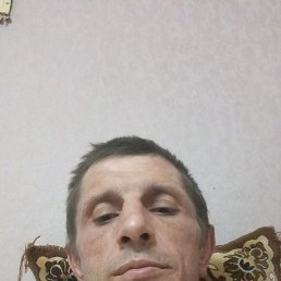 , 39, 