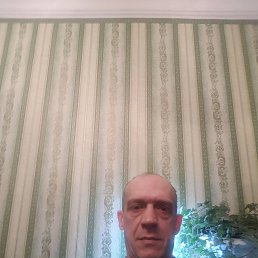 , 53, -
