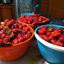 ���� �����, ������, 66 ��� - ��������� 23 ������ 2024 � ������ ��������