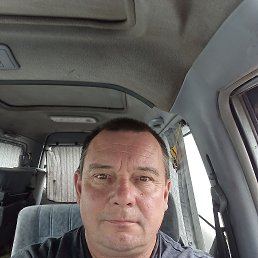 , 53 , 