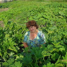 �����, ��������, 57 ���