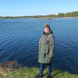 ���� ����, �������, 54 ���� - ��������� 27 ������� 2023