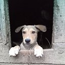 ���� ����, �������, 56 ��� - ��������� 2 ������� 2024