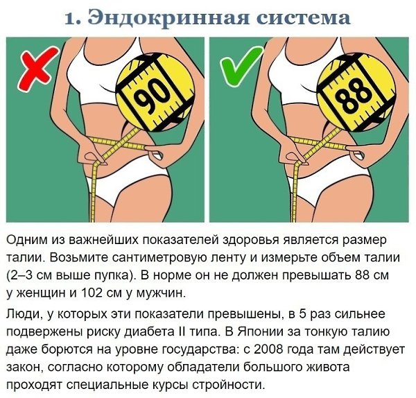 Тесты для контроля состояния вашего организма