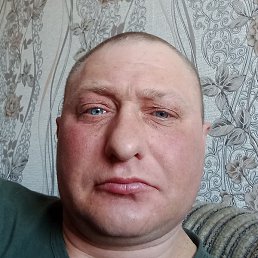 , , 41 