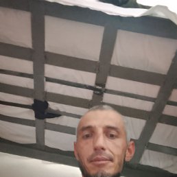 , 34, 