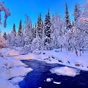 ���� ����, �����-���������, 40 ��� - ��������� 29 ������ 2024 � ������ ������ ��������