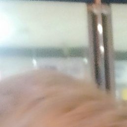 �����, ������, 65 ���