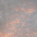 ���� Nikola, ������, 67 ��� - ��������� 19 ���� 2026