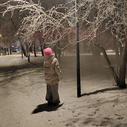 �����, ����������, 26 ���