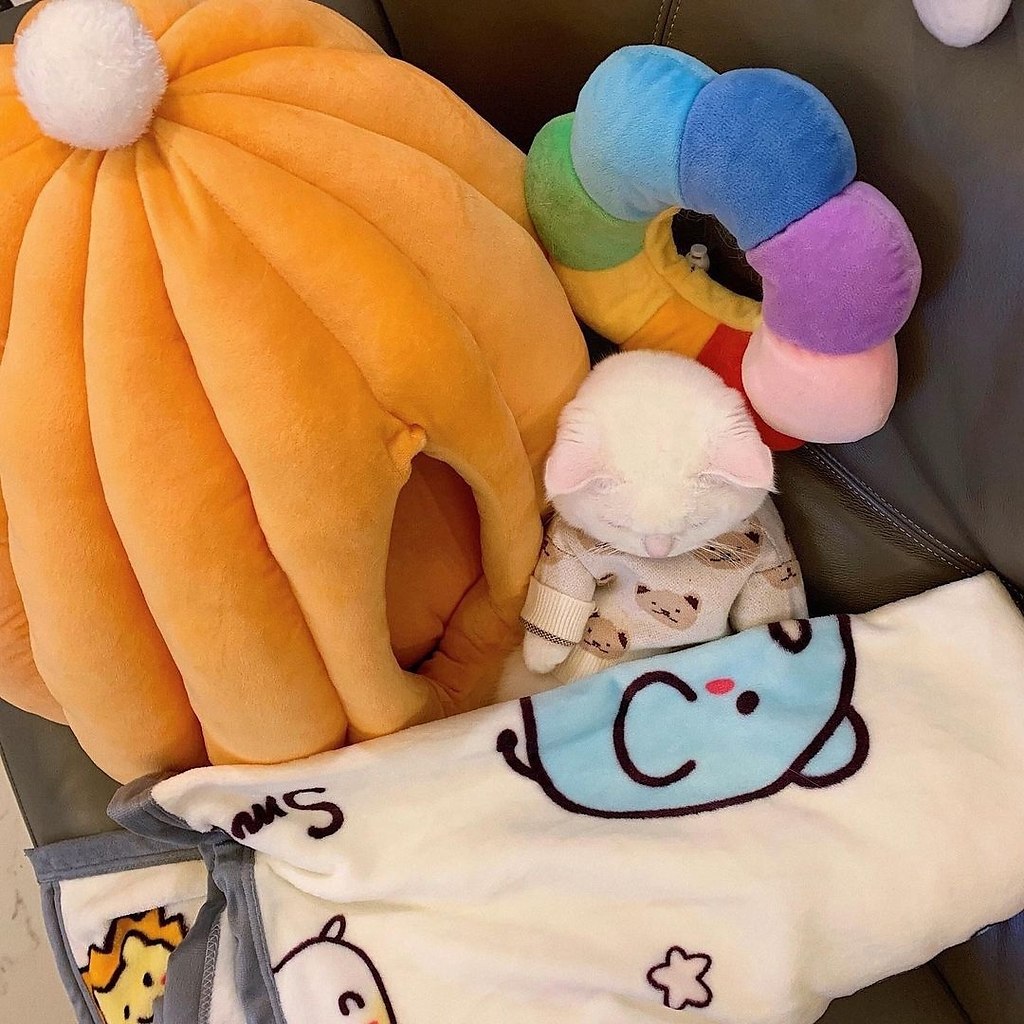 ��� ��� �������� :3 - 3