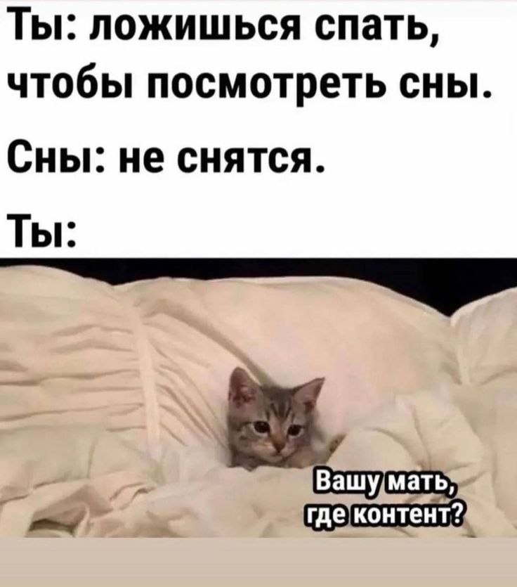 ������ - 27 ������ 2025 � 22:42