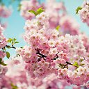 ���� ������, ������, 63 ���� - ��������� 1 ������� 2025