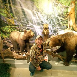 ����, �����������, 41 ���