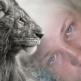 ���� ������, �����-���������, 45 ��� - ��������� 14 ������� 2025