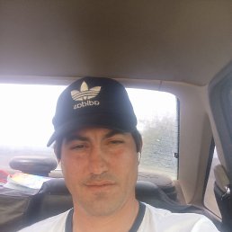 , 28, 