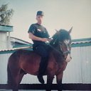 ���� ������� ���������, �����, 50 ��� - ��������� 27 ������� 2026