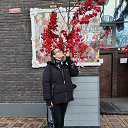 ���� �����, ������-��-����, 36 ��� - ��������� 15 ����� 2024 � ������ ���� ����������