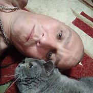 , 55 , 