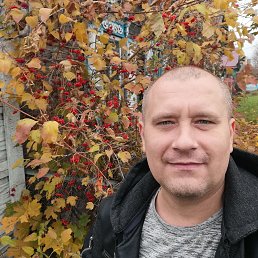 , 45, 