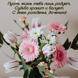 ���� �������, �������, 56 ��� - ��������� 6 ����� 2026