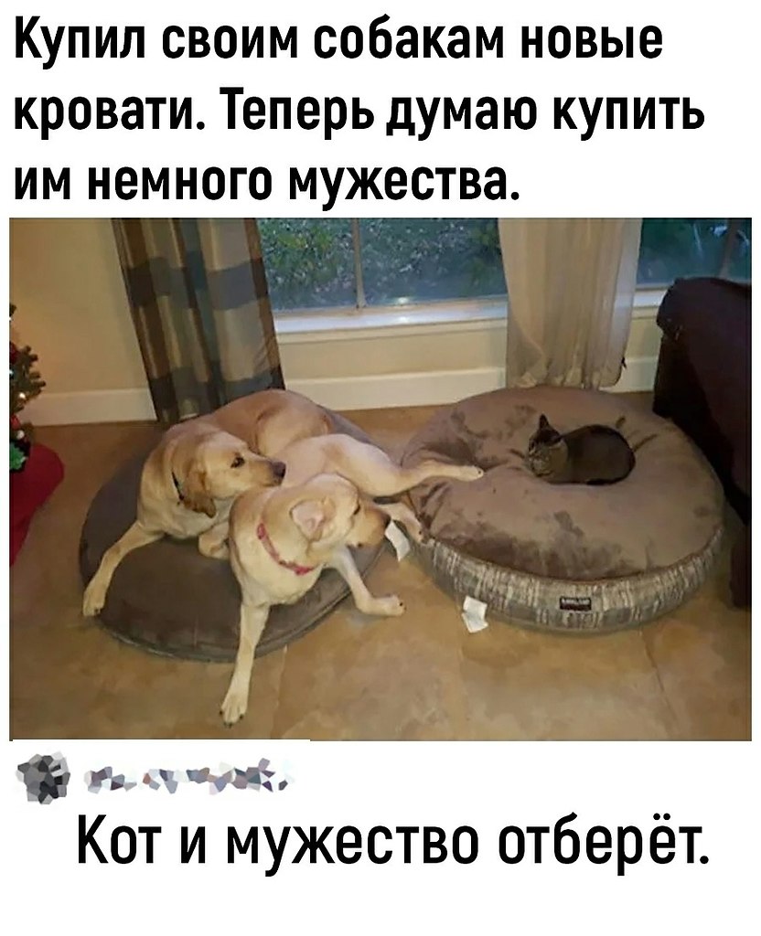  - 25  2025  20:04