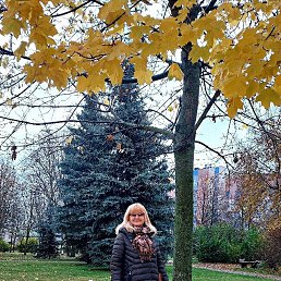 ���� �������, �����-���������, 70 ��� - ��������� 31 ������ 2026