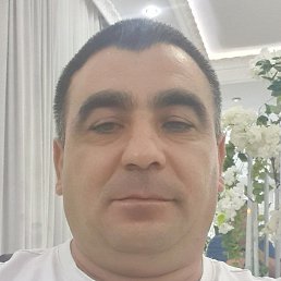 �����, ����, 42 ����