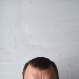, 37, 