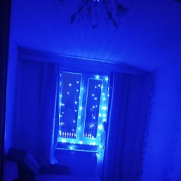 ���� ��������, ������, 49 ��� - ��������� 27 ������� 2023