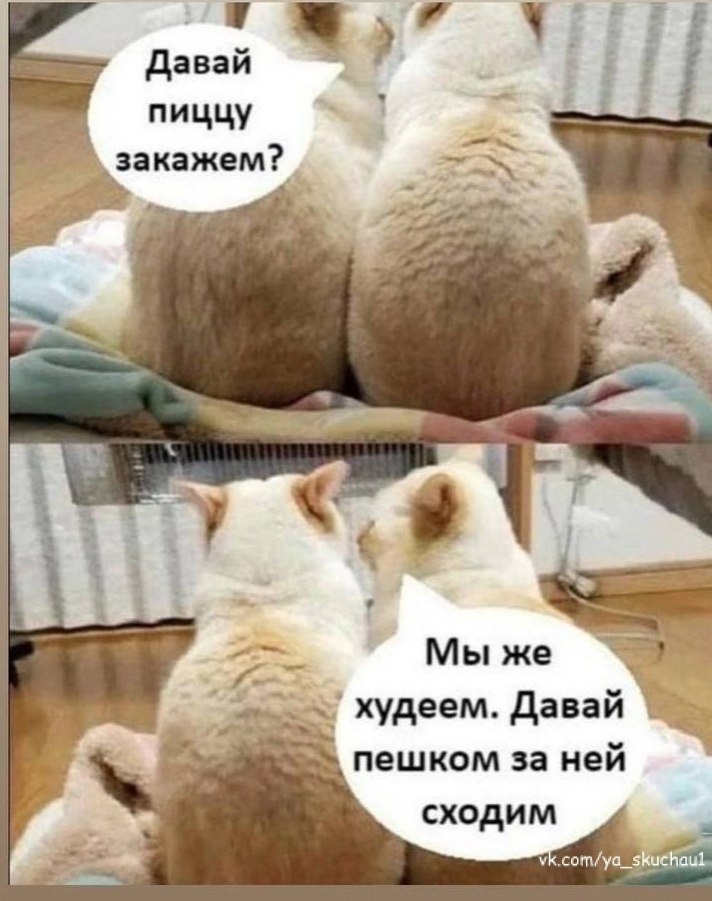 - 4  2025  15:51