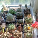 ���� �������, �����, 62 ���� - ��������� 7 ���� 2024 � ������ ���� �����